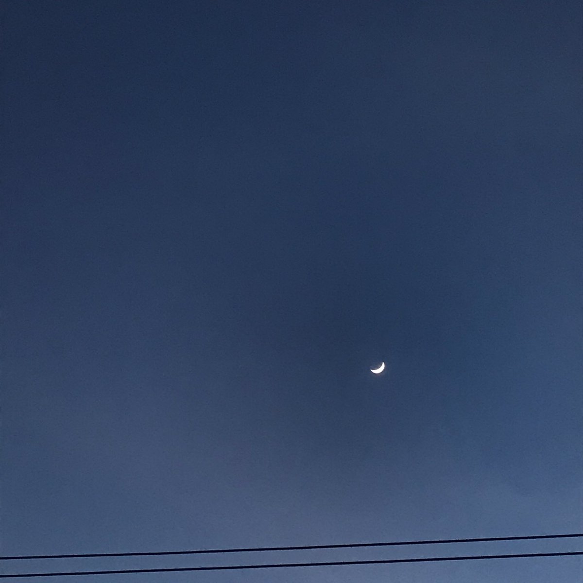 Bitter_0's tweet photo. 🌙 https://t.co/RRyMHrU8N0