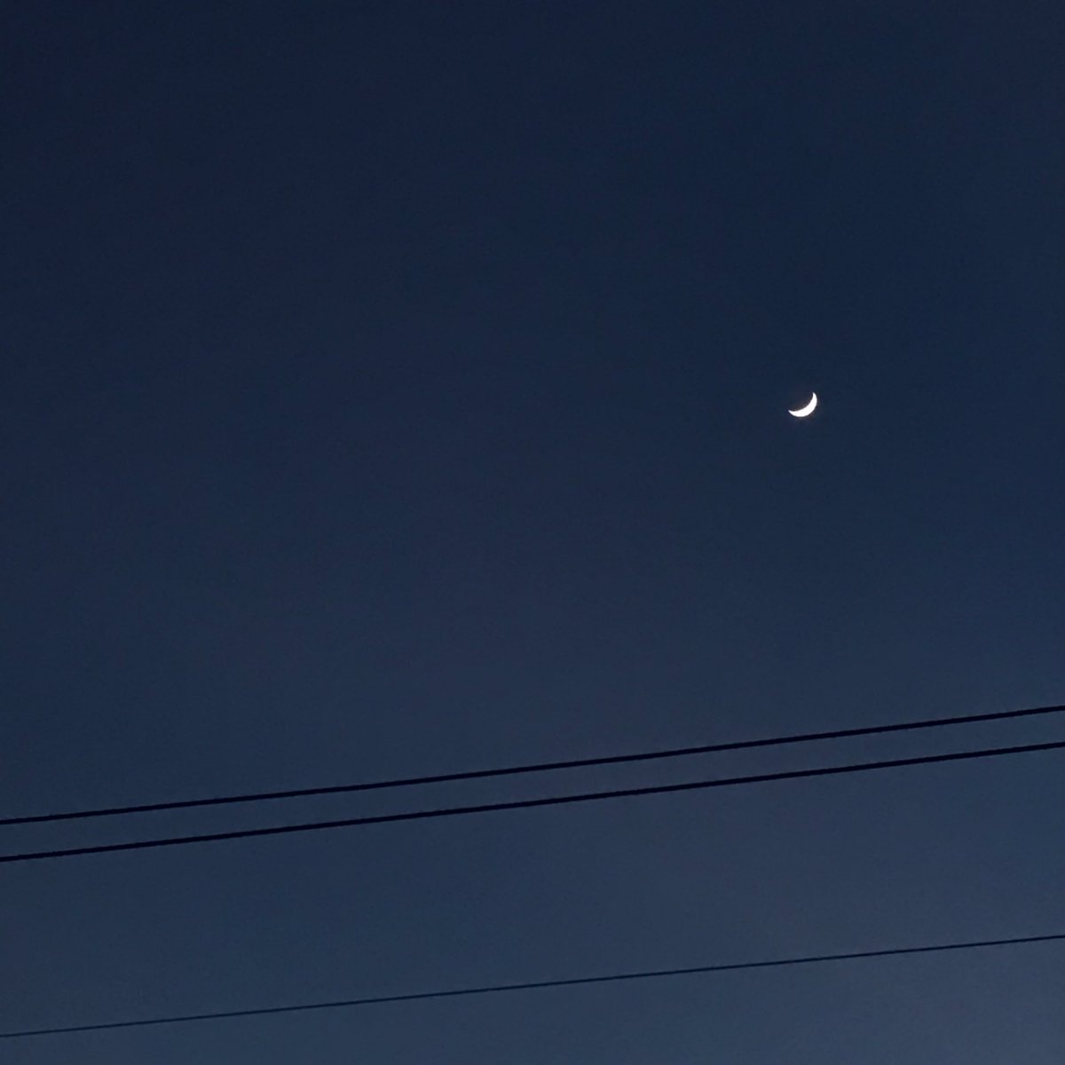 Bitter_0's tweet photo. 🌙 https://t.co/RRyMHrU8N0