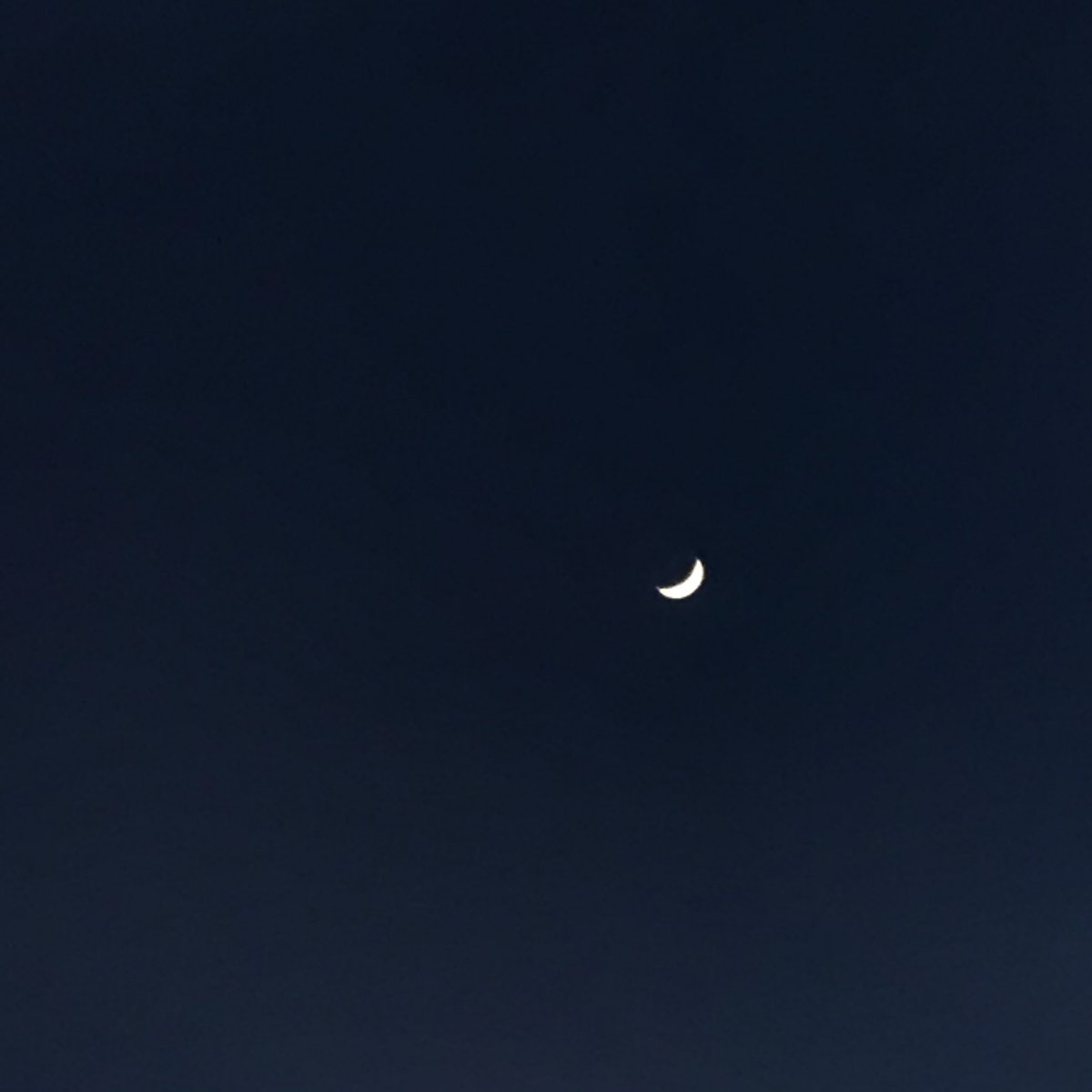 Bitter_0's tweet photo. 🌙 https://t.co/RRyMHrU8N0