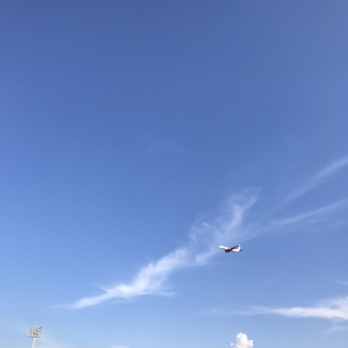 Bitter_0's tweet photo. คุณนกเหล็ก 🕊 https://t.co/m2aK7uLETf