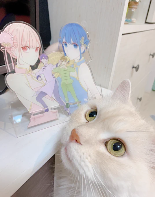 https://t.co/YmoJRme40m
前に言ってたアクリルスタンド的なやつをBOOTHで注文できるようにしてみたよ〜多分ここから買えるはず…😾

初めて使うのでなんか不具合ありそうな気がしてドキドキなんですが欲しい方よろしくお願いします😂 