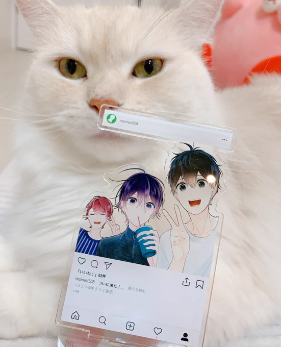 https://t.co/YmoJRme40m
前に言ってたアクリルスタンド的なやつをBOOTHで注文できるようにしてみたよ〜多分ここから買えるはず…😾

初めて使うのでなんか不具合ありそうな気がしてドキドキなんですが欲しい方よろしくお願いします😂 