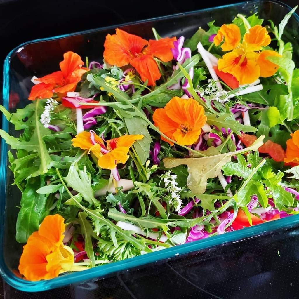 botanical_eat's tweet photo. Summer in a dish ~ go go garden greens 🥳🥳🙏🙏💚🌿
#botanicalkitchen #eattothrive #salad #whatsfordinner #eatmoregreens #patchtoplate #summervibes #summerfood #leaves #flowers #herbs #veg #sidesalad #plantbased #chef #foodasmedicine https://t.co/n3ytS3dzkf https://t.co/TllZxDFY9n