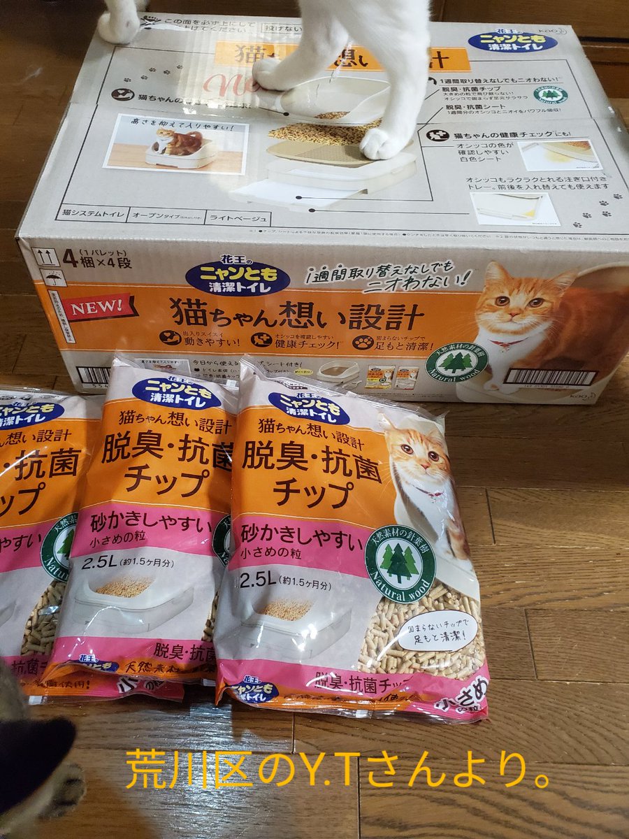 groupnyago's tweet photo. 本日も荒川区のY.Tさんよりにゃんともトイレ&amp;トイレチップが届きました。お心に留めて頂いたメッセージ誠にありがとうございます。とてもとても助かっています。反ってお気を遣わせてしまってごめんなさい。
これからも見守って頂けると嬉しく思います。#保護猫　#地域猫 #猫のいる暮らし https://t.co/tuvAUHKuug
