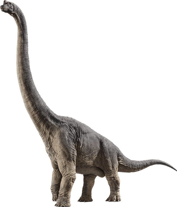 #金曜ロードSHOW#ジュラシックワールド炎の王国恐竜図鑑 03ブラキオサウルス体長 23m分布 アメリカ イギリス アフリカジュラ紀を代表する大型竜脚類。前脚が長い事から腕トカゲの意味を持つ。本作に登場した個体は一作目のグラント博士の前に現れたのと同じ個体。 