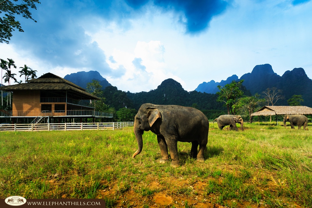 bouthaique's tweet photo. 🌴Phuket🐘Elephant Hills🌴Khao Lak from £1,299pp
🔸12 nights-SAVE up to £740
📆16 May-30 June21
✈️Heathrow-Manchester
🧳DEPOSIT £150pp
🔥BOOK BY 31-Aug-20
✅ATOL Protected
⏩https://t.co/VsaPCRKLag
📧david@eyelinetravel.co.uk📱020 8123 2569
#exploremore #LoveThailand #BucketList https://t.co/Emn1s4CWQU