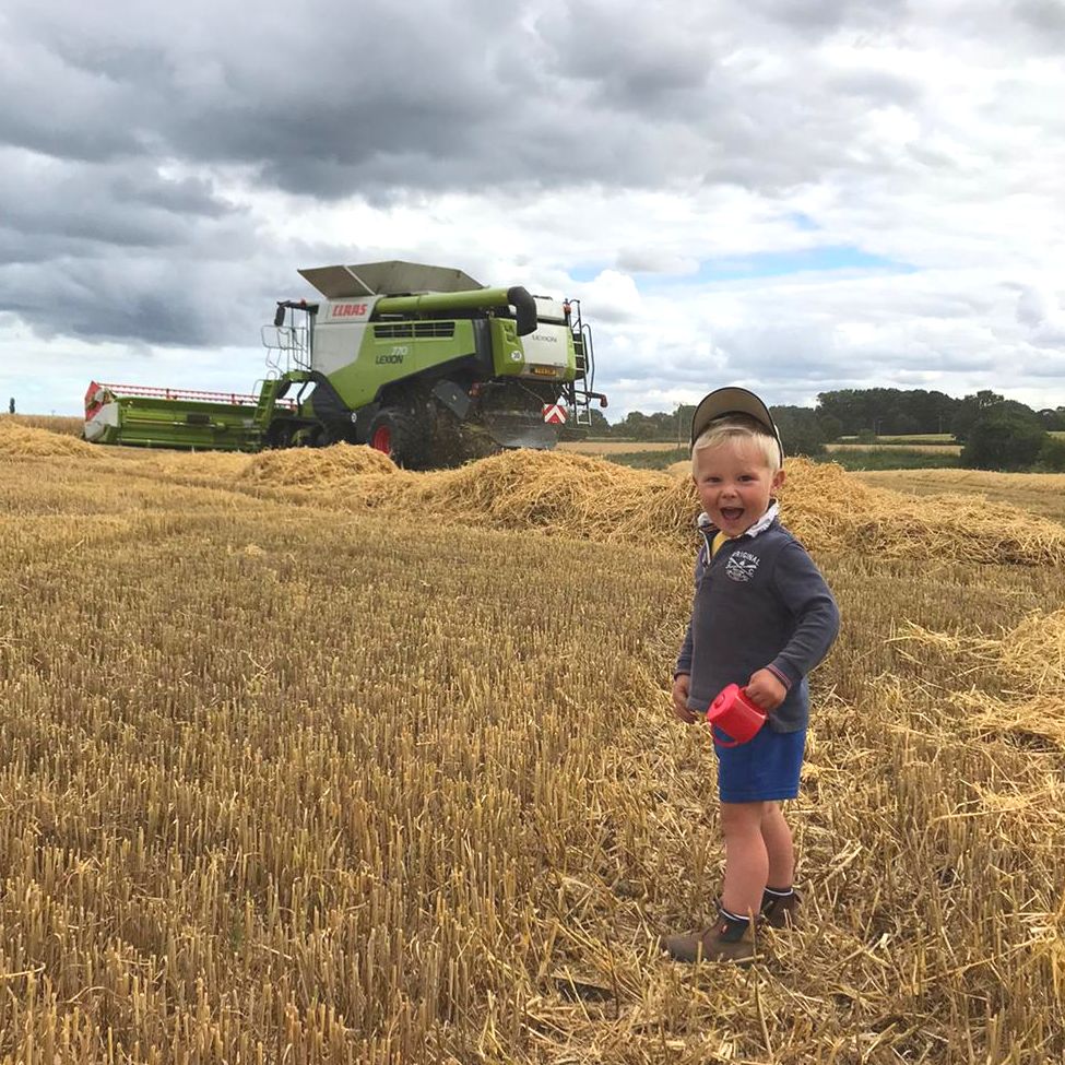 FarmersWeekly's tweet photo. #Harvest2020 vibes 😁 We all know how little farmer Henry Williams feels.

📸 Mary Williams

#FeedTheNation https://t.co/c4cc5W9t7u