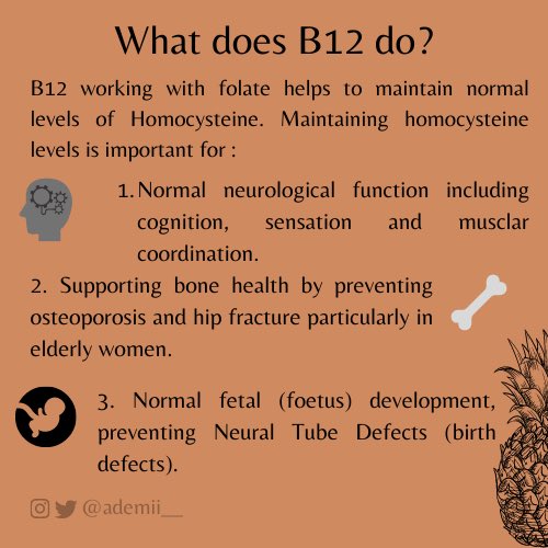 So why is B12 important? 1. B12 works with folate as a cofactor for many functions in the body including DNA synthesis and red blood cell formation   . 2. B12 with folate maintains homocysteine levels in the body which has effects on the brain , bones  and feotus .