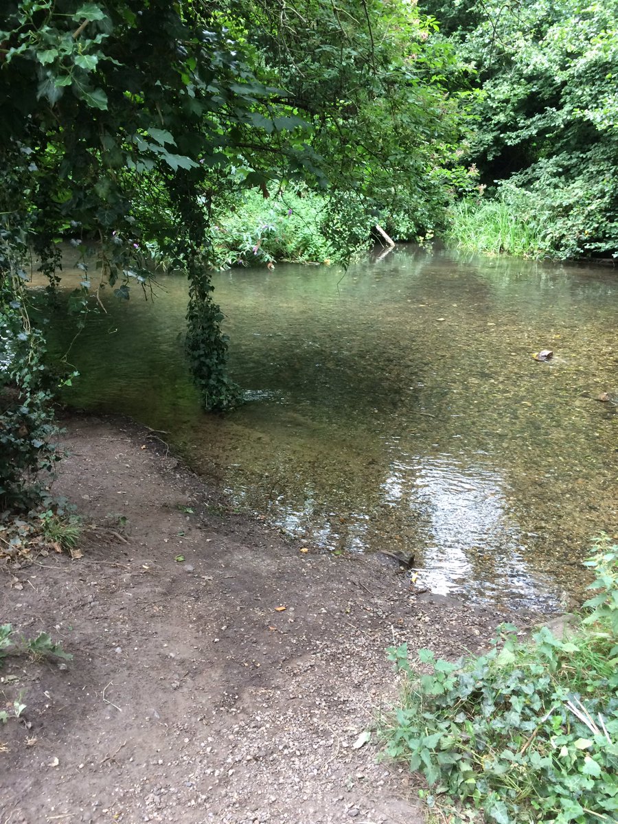 TreeloverSusan's tweet photo. Finally got around to visiting this lovely spot. Bonus points for the ancient church right there too. #FiveArches @LBofBexley https://t.co/ZfcBgat28Q
