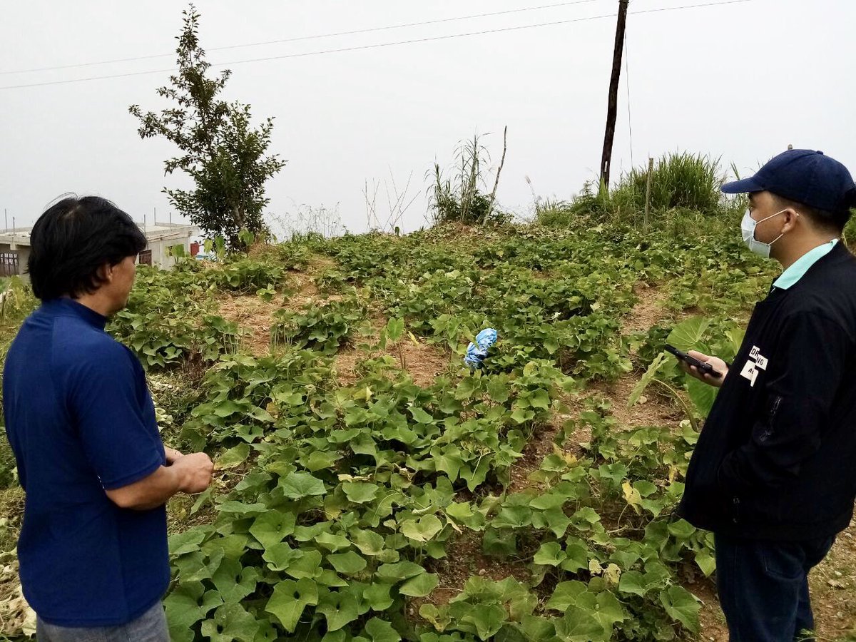 <a href="/ACTEDPH/">ACTED Philippines</a> held a meeting with the #Atok South Farmers Association to formulate a constitution and by-laws  for the management of a new seedling facility. The land for the facility was identified following an on-site assessment conducted by ACTED and <a href="/GawadKalingaHQ/">Gawad Kalinga</a>