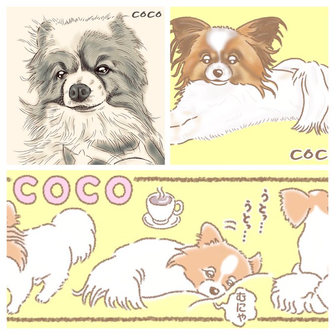 ✨✨ココくんcollection✨✨

ずっと、かわいいワンっ??✨✨✨ 