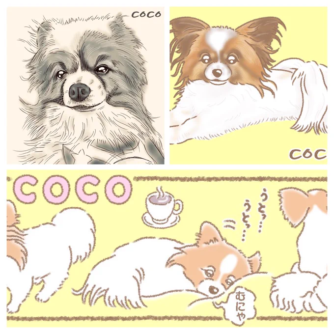 ✨✨ココくんcollection✨✨

ずっと、かわいいワンっ??✨✨✨ 