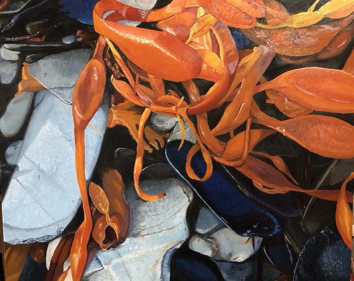 Carolyn Mallory tweet media