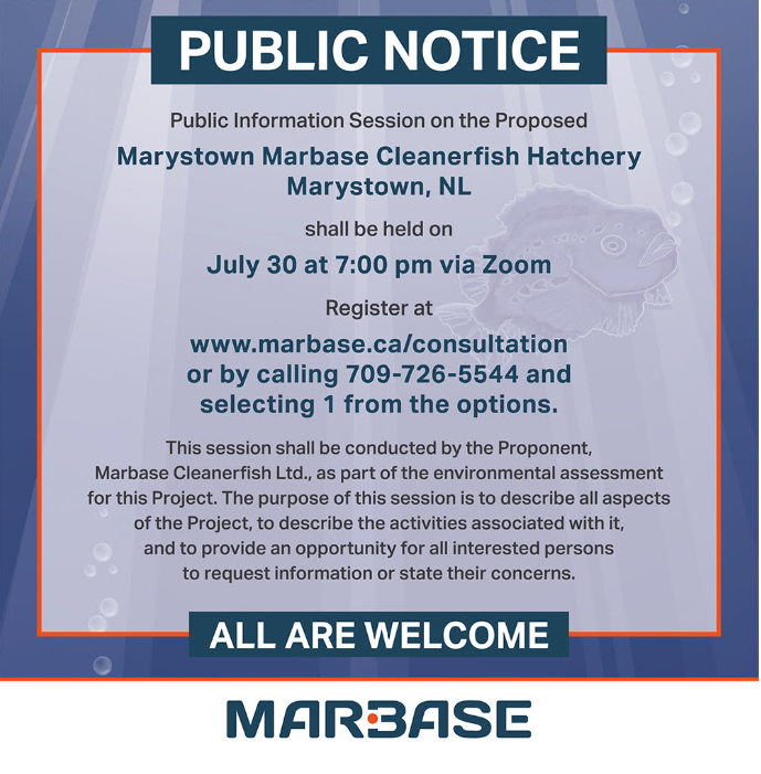 Burin Peninsula Chamber of Commerce (@burinpenchamber) on Twitter photo 