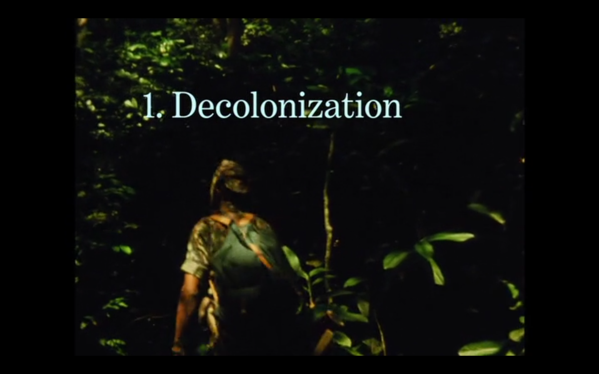 DISPATCH tweet media