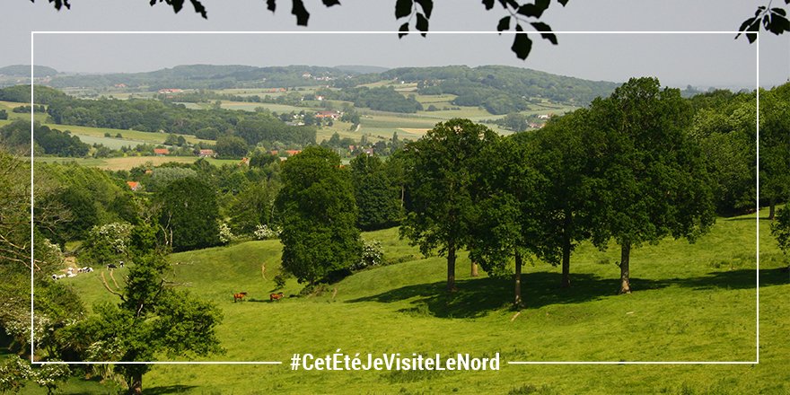 Cet été, vous aviez prévu de gravir les sommets ? C'est encore possible dans le Nord avec les monts de Flandre ! 🙃🗻

Notre plat pays vous réservent de beaux panoramas avec le mont Noir, le mont des Récollets, le mont des Cats et le mont Cassel (176 m) ! #CetÉtéJeVisiteLeNord