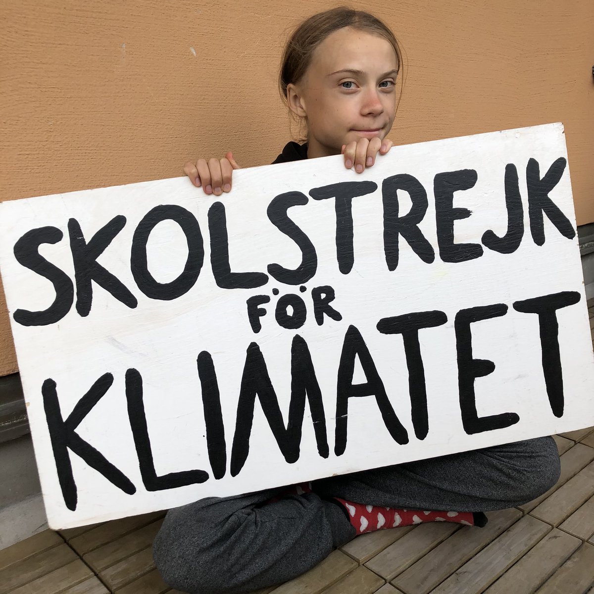 School strike week 101. The climate crisis doesn’t go on summer holiday, so we keep on protesting.
#climatestrikeonline  #StayAtHome #fridaysforfuture #schoolstrike4climate #flattenthecurve