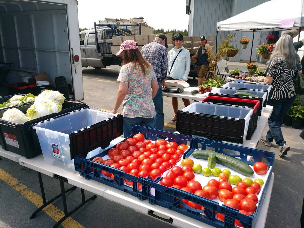 TOTE_Maritime's tweet photo. It's another great summer at the #Kenai Peninsula Food Bank Farmer's Market. TOTE is #dedicated to the communities we serve and the organizations that keep them safe and healthy. Thank you for all that you do! #Alaskacommunity #fighthunger #builttoserve https://t.co/t9StSLFMSW