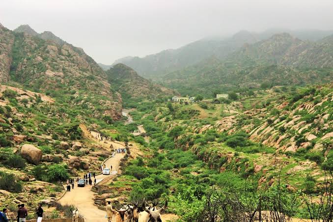 IsraTalpur's tweet photo. ٿر ريگستان: - سنڌ جو اوڀر وارو صحرا پنهنجي ريتي واري ٻوٽن جي ثقافت ۽ قدرتي خوبصورتي سان مالا مال آهي. https://t.co/it5pIw8SEt
