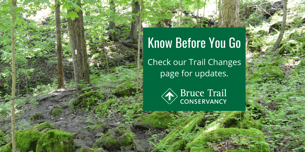 BruceTrail_BTC's tweet photo. Reminder: Though most of the province enters Phase 3 of reopening today, some sections of the #BruceTrail remain closed due to landowner wishes. Please check our website when planning a hike to ensure you will not be trespassing. Learn more at https://t.co/JigVCBRCBJ https://t.co/7OABkLXylV