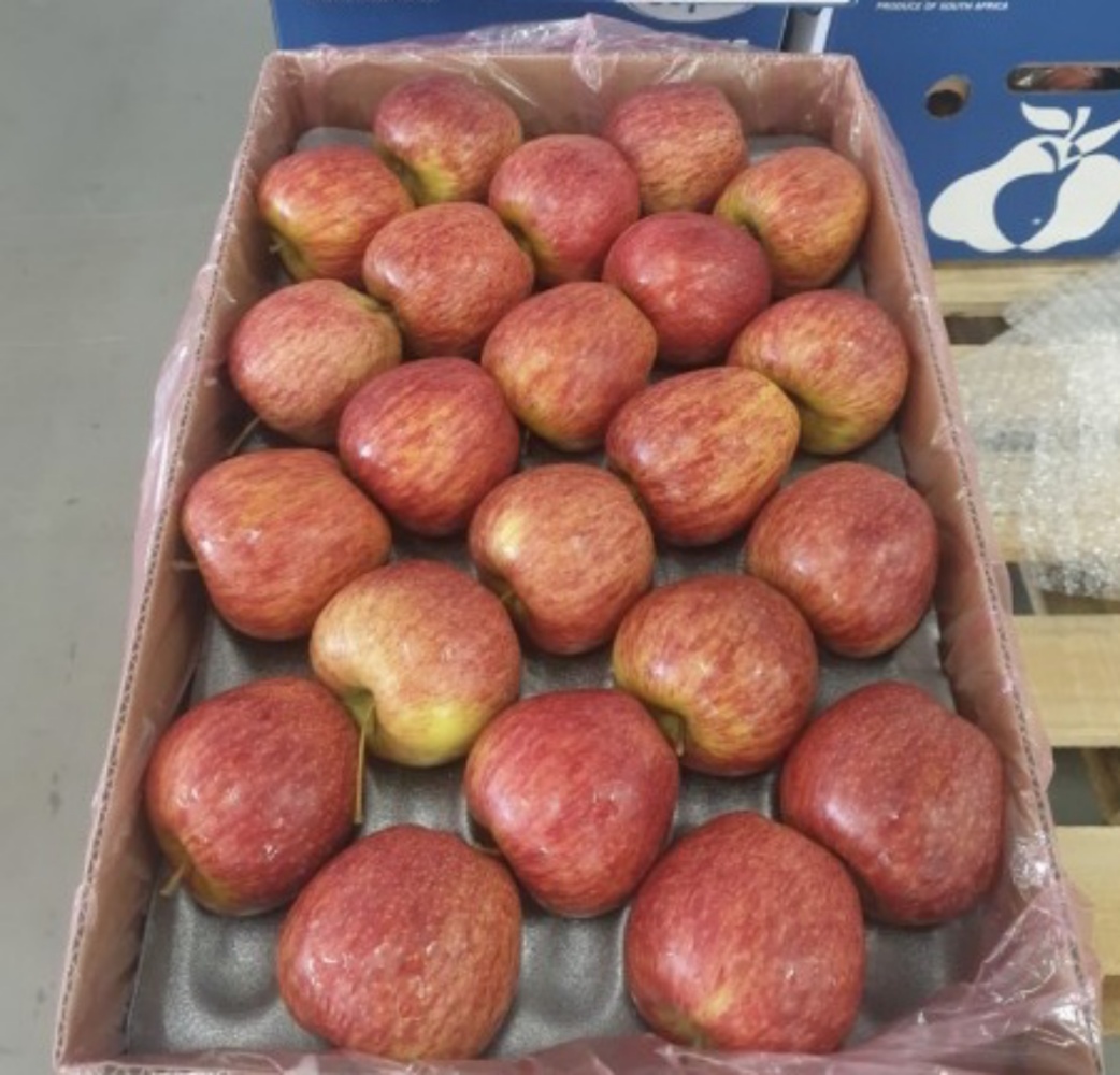 ASIA_FRUIT's tweet photo. India continues to grow its appetite for imported #apples. Cameo is the new variety making its arrival. South African exporter #Capespan and importer #Yupaa see great potential. Read more about it π https://t.co/qtKAB4WRMc #AFL2020 #asiafruitlogistica https://t.co/VwDPLeWrQC