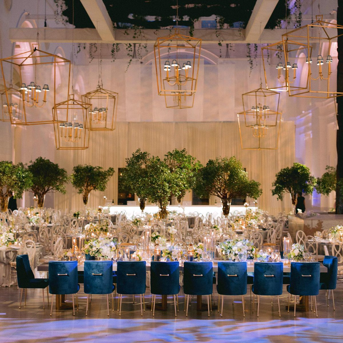 HMR_Designs's tweet photo. Flourishing Manzanita branches allow for sophisticated botanical accents in this tailored reception design. | @HMRDesigns #birchdesignstudio #FrostChicago @bbjlinen @NuageDesigns @blueplatecater @FieldMuseum @CharlieHilbrant πΈ @erickelley https://t.co/0KfZqMED2u