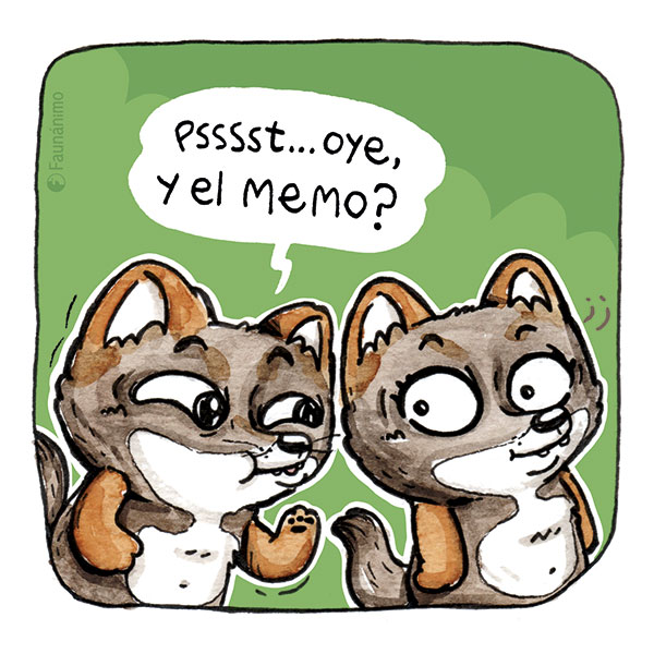 faunanimo's tweet photo. Han visto al memo... ¿qué memo?... #memorianimal ! :B
Este día estamos un 10% más optimistas de lograr la meta 💪😁
Cada vez más cerca de hacer realidad este juego! MEMORIANIMAL (el memorice más coqueto de la fauna chilena)
Enlace directo aquí: https://t.co/vW2zVffnXB https://t.co/HG8byhO4uh
