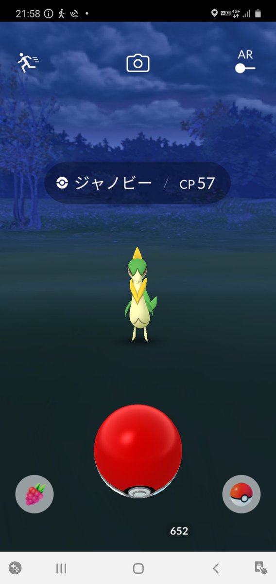 narumika48's tweet photo. 野生でジャノビーとか初めてだ😲
フェスに待てないのかな⁉️😁
#ポケモンGO
#fest2020
#ジャノビー https://t.co/2qQ2wFbLdi