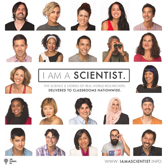 theplenary tweet picture