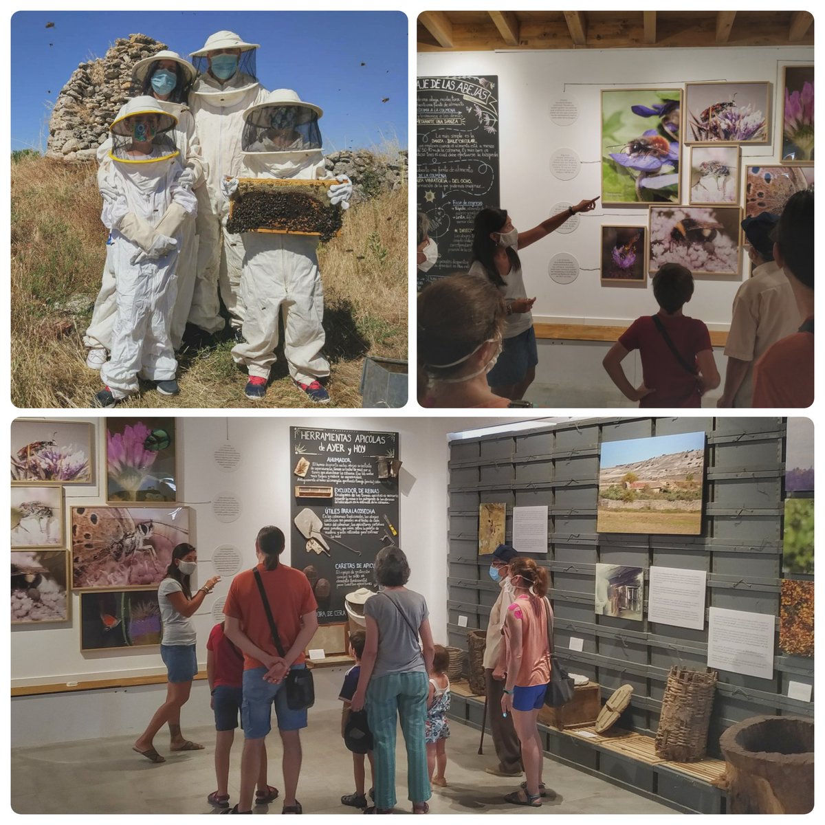 Cosas que pasan en nuestras actividades...#apiturismo #abejas #miel #turismofamiliar