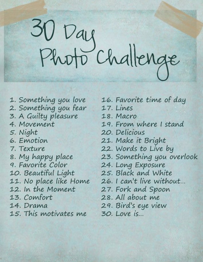PGCPS TAG OFFICE (@pgcpstag) on Twitter photo Let’s get artistic! Take a 30 day photo challenge! Tag us #TAGphoto2020 the @PrincipalJHHES <a href="/SMcdonnaugh/">Shaneena Holland</a> <a href="/amanda_alerich/">Amanda Alerich</a> <a href="/ac013079/">Amanda Soto</a> <a href="/LibbyKara/">Kara Libby</a> <a href="/LeelandTag/">ImagineLeelandTAG</a> <a href="/Kingsford_ES/">Kingsford Elementary</a> <a href="/CHES_TAG/">Mrs. Wendy Walton</a> <a href="/callmeMsWren/">Christina Wren</a> <a href="/LongfieldsTAG/">Longfields TAG</a> <a href="/LongfieldsReads/">Aurora Reed</a> <a href="/UPSoaringEagles/">University Park ES</a> <a href="/LaTanyaSothern/">LaTanya S. Sothern</a> <a href="/PewPto/">PEW PTO</a> @TGESTIGERS Let’s get artistic! Take a 30 day photo challenge! Tag us #TAGphoto2020 the @PrincipalJHHES <a href="/SMcdonnaugh/">Shaneena Holland</a> <a href="/amanda_alerich/">Amanda Alerich</a> <a href="/ac013079/">Amanda Soto</a> <a href="/LibbyKara/">Kara Libby</a> <a href="/LeelandTag/">ImagineLeelandTAG</a> <a href="/Kingsford_ES/">Kingsford Elementary</a> <a href="/CHES_TAG/">Mrs. Wendy Walton</a> <a href="/callmeMsWren/">Christina Wren</a> <a href="/LongfieldsTAG/">Longfields TAG</a> <a href="/LongfieldsReads/">Aurora Reed</a> <a href="/UPSoaringEagles/">University Park ES</a> <a href="/LaTanyaSothern/">LaTanya S. Sothern</a> <a href="/PewPto/">PEW PTO</a> @TGESTIGERS