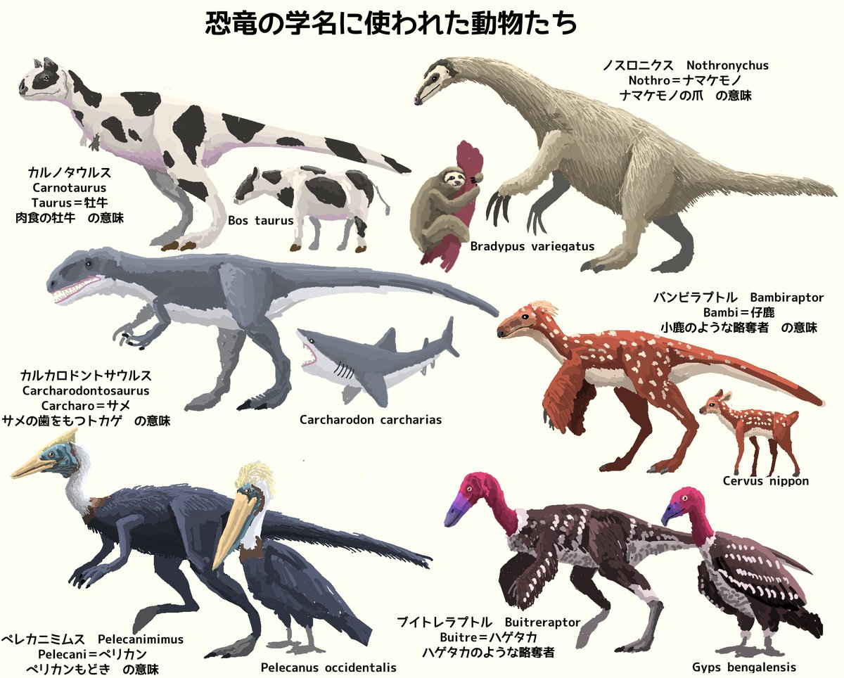 はししも 学名に動物が入ってる恐竜シリーズ第二弾 恐竜 Dinosaurs 古生物 Paleoart イラスト 動物 生き物 みんなジュラシックワールド見てるね笑 T Co 6i1dlmubaz Twitter