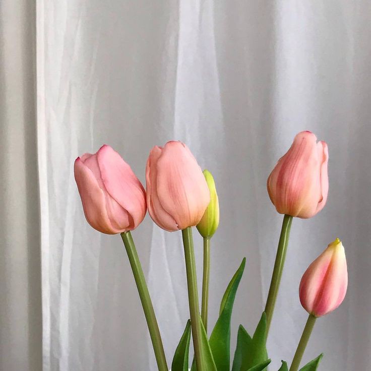 xning_x's tweet photo. 𝓒𝓪𝓾𝓼𝓮 𝓮𝓿𝓮𝓻𝔂 𝓽𝓲𝓶𝓮 𝓘 𝓸𝓹𝓮𝓷 𝓾𝓹, 𝓲𝓽 𝓱𝓾𝓻𝓽𝓼.ʕ·ᴥ·ʔ

เพราะทุกครั้งที่ฉันเปิดใจ มันเจ็บปวดทุกครั้ง✨🌷

#แคปชั่น
#แคปชั่นภาษาอังกฤษ https://t.co/yAWxMA9dbg