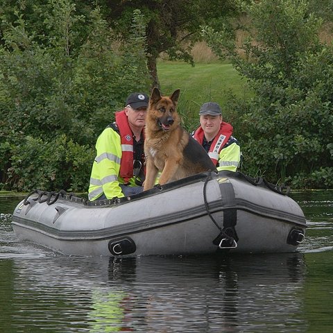 Congratulations to the Garda Dog Unit 🐶👮‍♀️👮, who are celebrating their 60th anniversary in 2020!

The #GardaDogUnit is an essential part of policing.

Thank you for all of your hard work and for always being part of #PetsintheCity!

<a href="/gardainfo/">Garda Info</a>