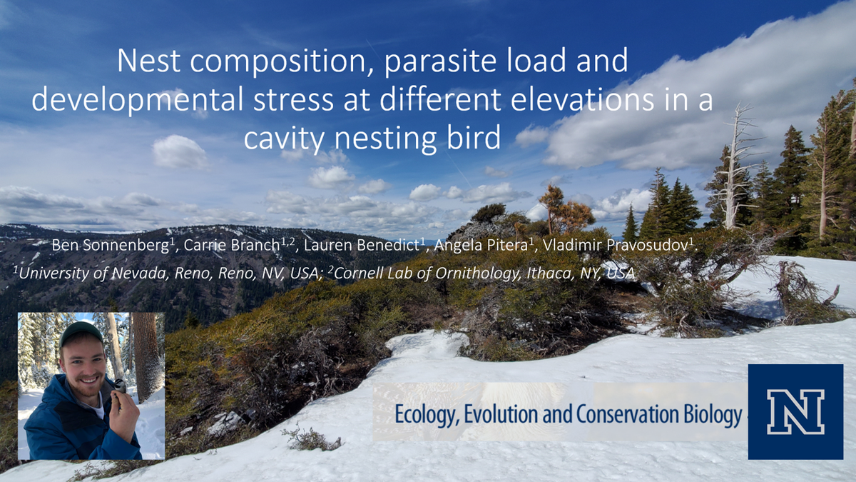 Ben Sonnenberg (he/him) (@sonnenbird) on Twitter photo Presentation uploaded! Come hear about chickadees and their nest parasites in Ecological effects 3! #abs2020 and I'd love to see you at the Q&A on July 30 @ 4pm ET US! <a href="/AnimBehSociety/">Animal Behavior Society</a> Presentation uploaded! Come hear about chickadees and their nest parasites in Ecological effects 3! #abs2020 and I'd love to see you at the Q&A on July 30 @ 4pm ET US! <a href="/AnimBehSociety/">Animal Behavior Society</a>
