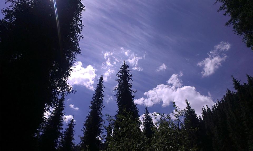 MetascienceITC's tweet photo. Victor Zammit's Friday Afterlife Report for June 26, 2020
Read here ➡ https://t.co/7GcOXNX8W0

In this issue:

• Rupert Sheldrake: How Science Explains Spirituality
• Dr. Raj Parti talks about his life-changing NDE
• Celebrating the life of Stanley Krippner
• Much more... https://t.co/3QSRbfWFuq
