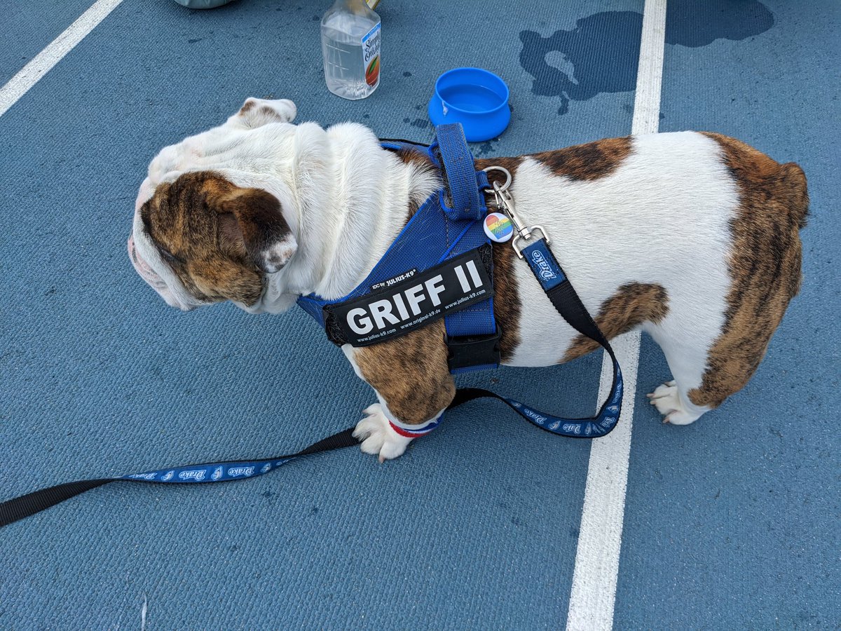 DrakeEventStaff's tweet photo. Behind the scenes look at the #MascotOlympics on the iconic #BlueOval https://t.co/XANhZMZ8AX