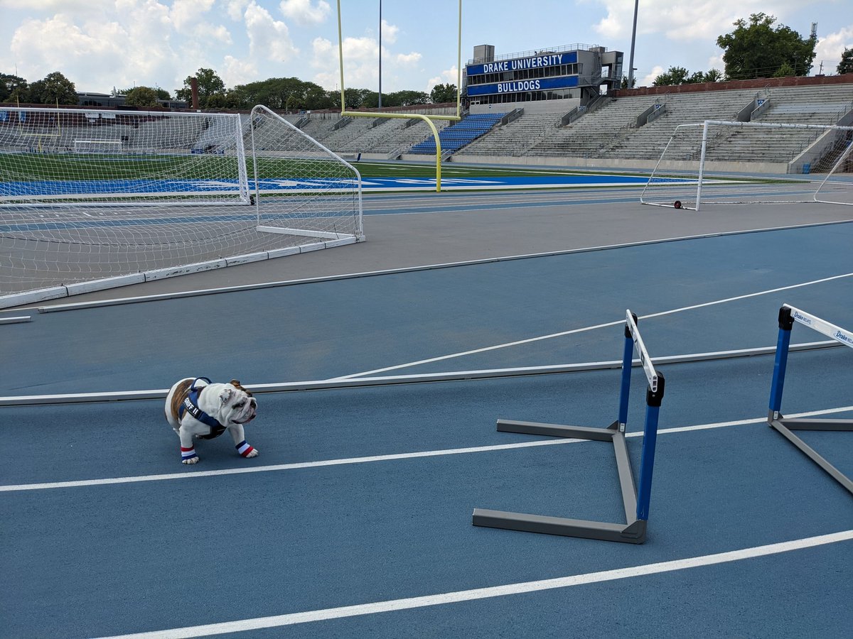 DrakeEventStaff's tweet photo. Behind the scenes look at the #MascotOlympics on the iconic #BlueOval https://t.co/XANhZMZ8AX