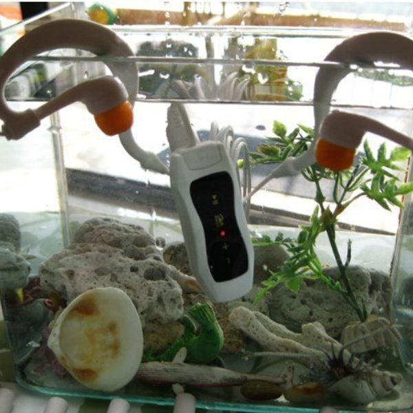 Scornipak's tweet image. Newest Waterproof Swimming Diving MP3 Player
tinyurl.com/y2ughtqo
#besttech #electronics #electronics2020 #exercise #fitnessfirst #gadgets2020 #instafashion #instagood #instastory #instastyle #onlineshopping #onlineshoppinginlahore #onlines...