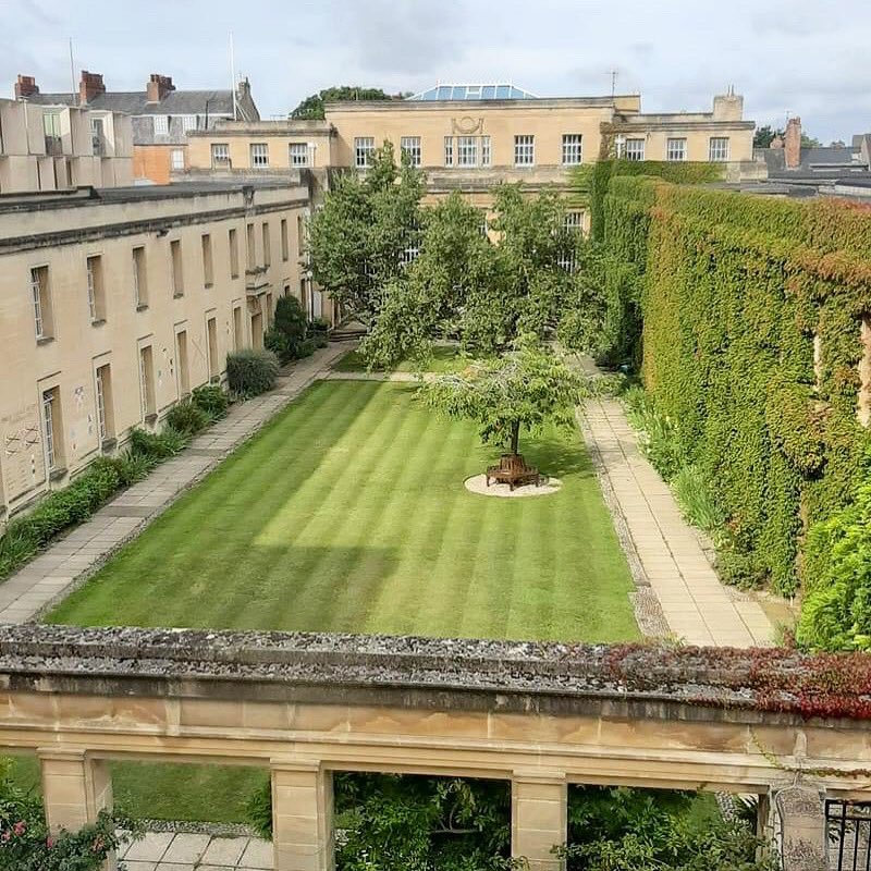 Thank you to the Bob for this photo!Hope everyone is having a lovely vac so far &amp; massive congratulations to all our finalists getting their results at the minute! As always our messages are open to any offer holders with Q

ID: photo of our quad looking green and cute in summer