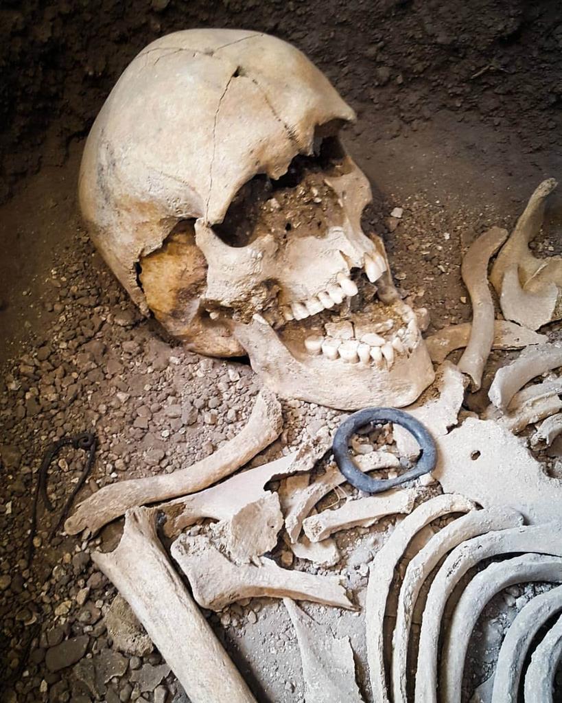 davidgoulden's tweet photo. Up close to the skeletal remains of the #WhitcombeWarrior 3 years ago today at the @dorsetmuseum festival of Archaeology #Throwback #IronAge #Archaeology #History #Heritage #Whitcombe #Dorset. https://t.co/OlqKgMdt9Y