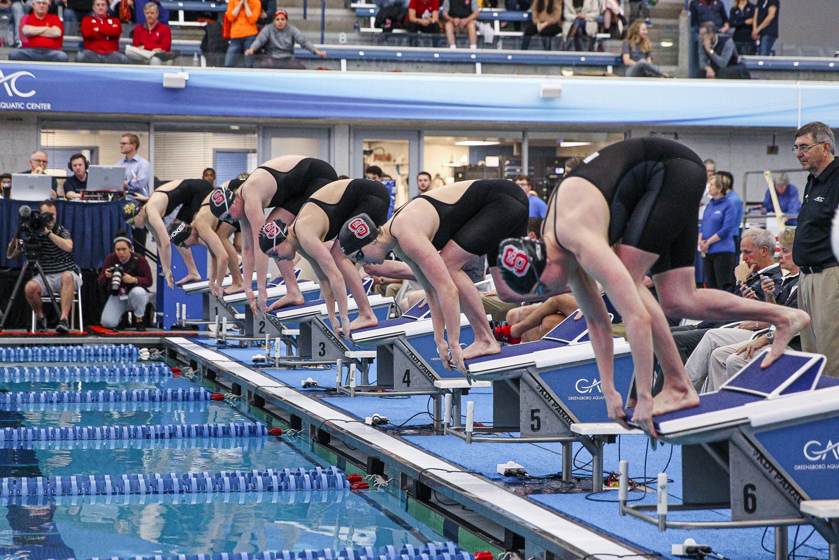 NC State Swimming & Diving tweet media