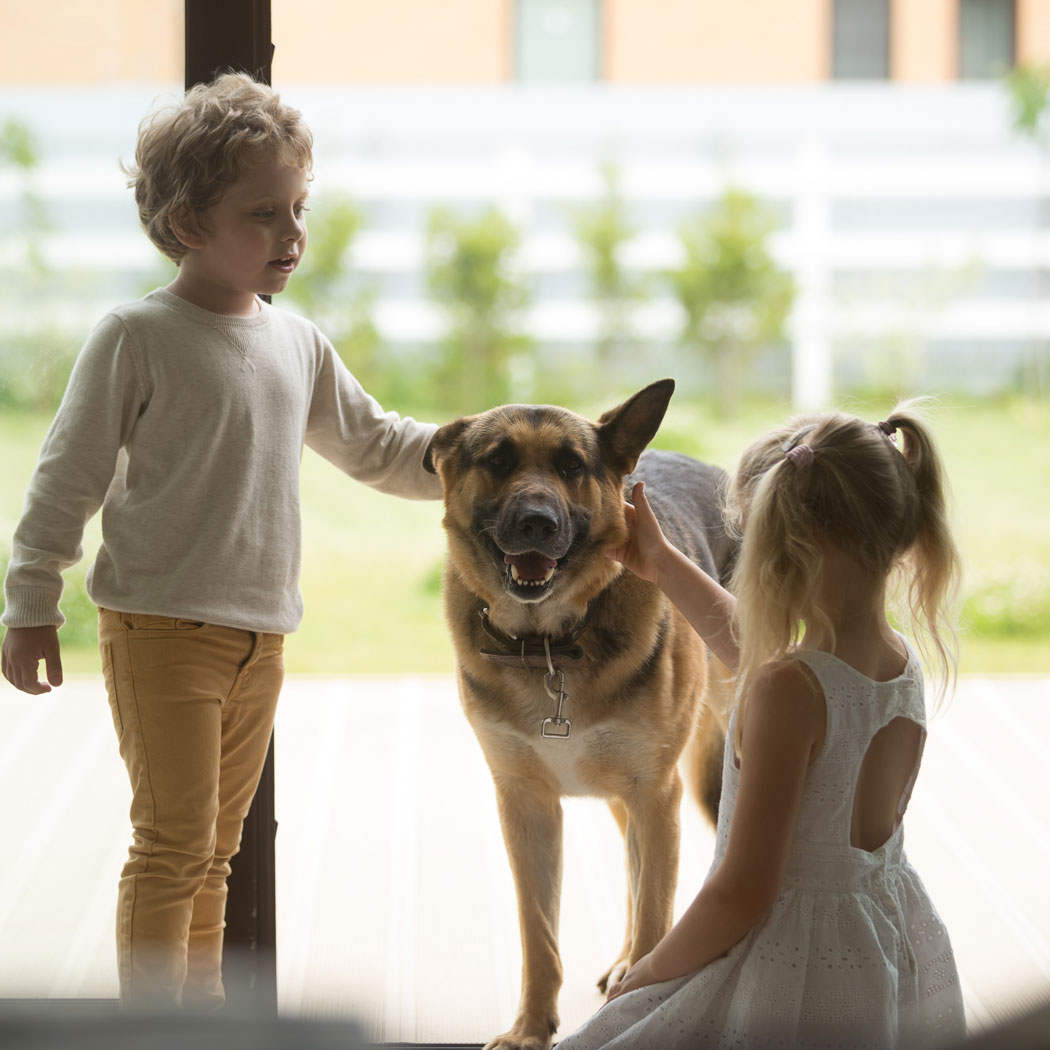 Happy People, Happy Pets
#happypeople ⁣⁣#happypets #happydog #happypetfood #happydoghappylife #dogsofinstagram  #dogstagram #instadog #dogsmakemesmile #dogsarefamily