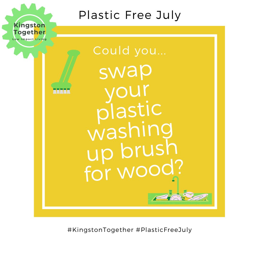 KT2gether's tweet photo. ♻️next time you need to replace your washing up brush have a look at wooden brushes with replaceable heads. Even the bristles are plastic free, usually made from a type of cactus!🌵
@PlasticFreeJuly #kingstontogether #lowimpactliving #plasticfreejuly #plasticfreejuly2020 https://t.co/PmDNy27J0n