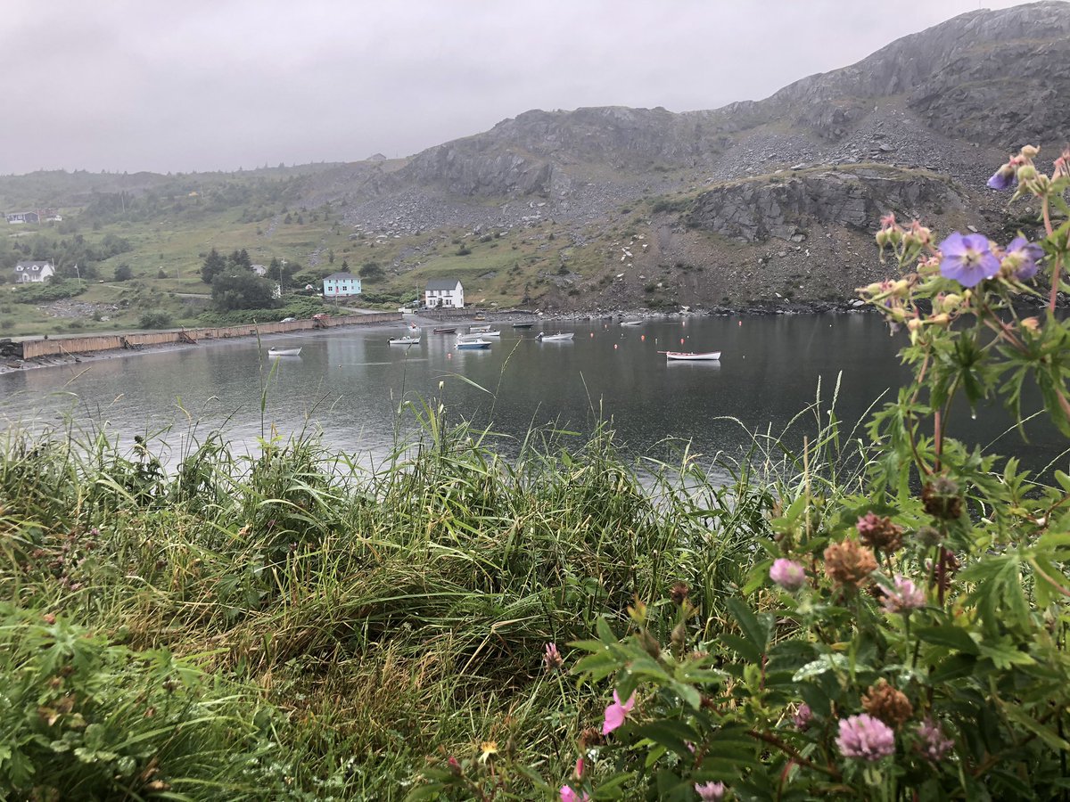 CarolynPike1's tweet photo. I love these mornings as much as sunny ones! @NLtweets @NewfoundIand @NL_Tourism #nlwx #NL #NLsummer #Staycation2020 #saltwaterjoys https://t.co/h1uoNh9DP3