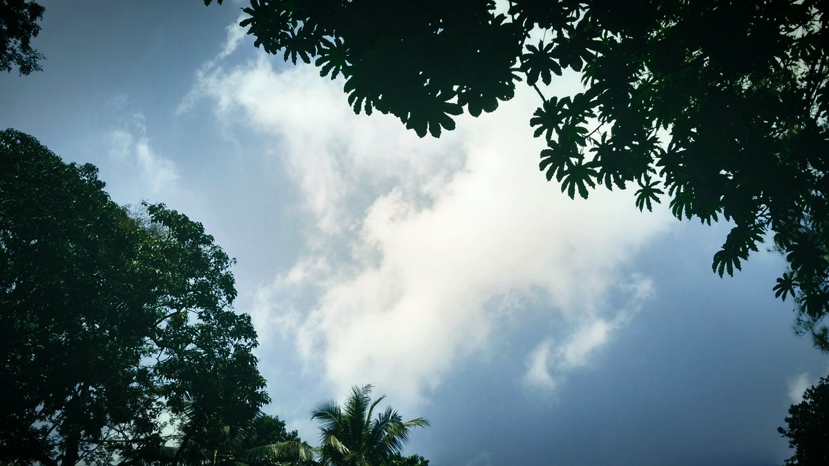 Si__Rendy's tweet photo. (17.7 - one day trip)(6)
..in "Puncak Bogor-west Java"..
.."Chimori"..
..sceneries..
#photo #photography 
..blue sky..
..little bit cloudy..
..under the bridge..
         🌞🔵☁🌉
..don't get sick..
..goodnight..everyone..☕😸 https://t.co/FtULAGry2f