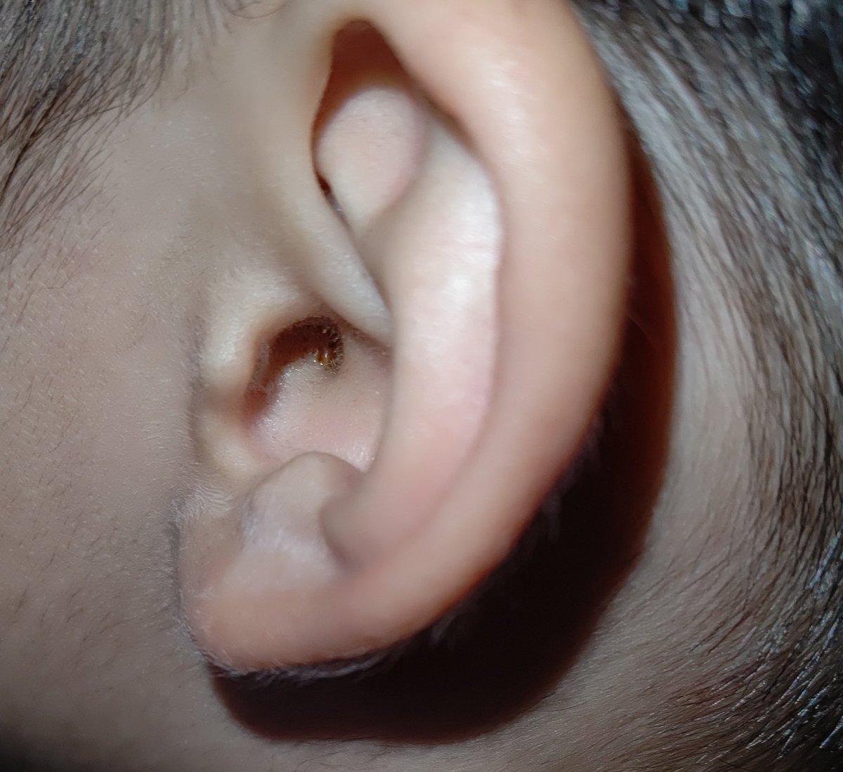 あめ耳 Twitter Search Twitter