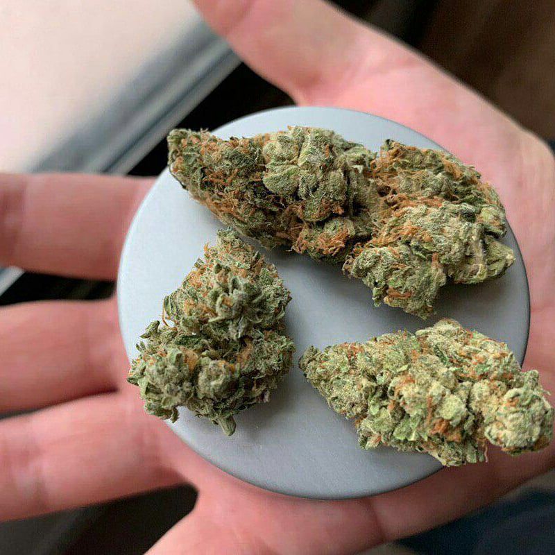 Canabis4207's tweet photo. Livraison dans toute la 🇫🇷 france contact moi via 

Snapchat : plug kili

#equipedefrance #weed #beuh #shit #cocaine #drogue #Paris #Nantes #Toulouse #bordeaux #Nice06 #Marseille #Rennes #Lorient #Quimper #Strasbourg #Lille https://t.co/kj6CPBmnCK
