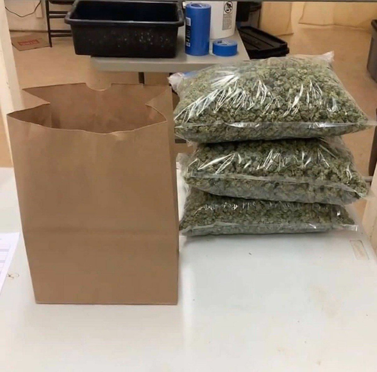 Canabis4207's tweet photo. Livraison dans toute la 🇫🇷 france contact moi via 

Snapchat : plug kili

#equipedefrance #weed #beuh #shit #cocaine #drogue #Paris #Nantes #Toulouse #bordeaux #Nice06 #Marseille #Rennes #Lorient #Quimper #Strasbourg #Lille https://t.co/kj6CPBmnCK