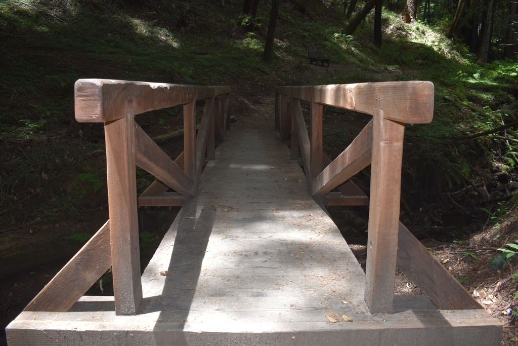 Whiteboywander1's tweet photo. Nisene Marks State Park

#nisenemarksstatepark https://t.co/4KyCdxsmVQ